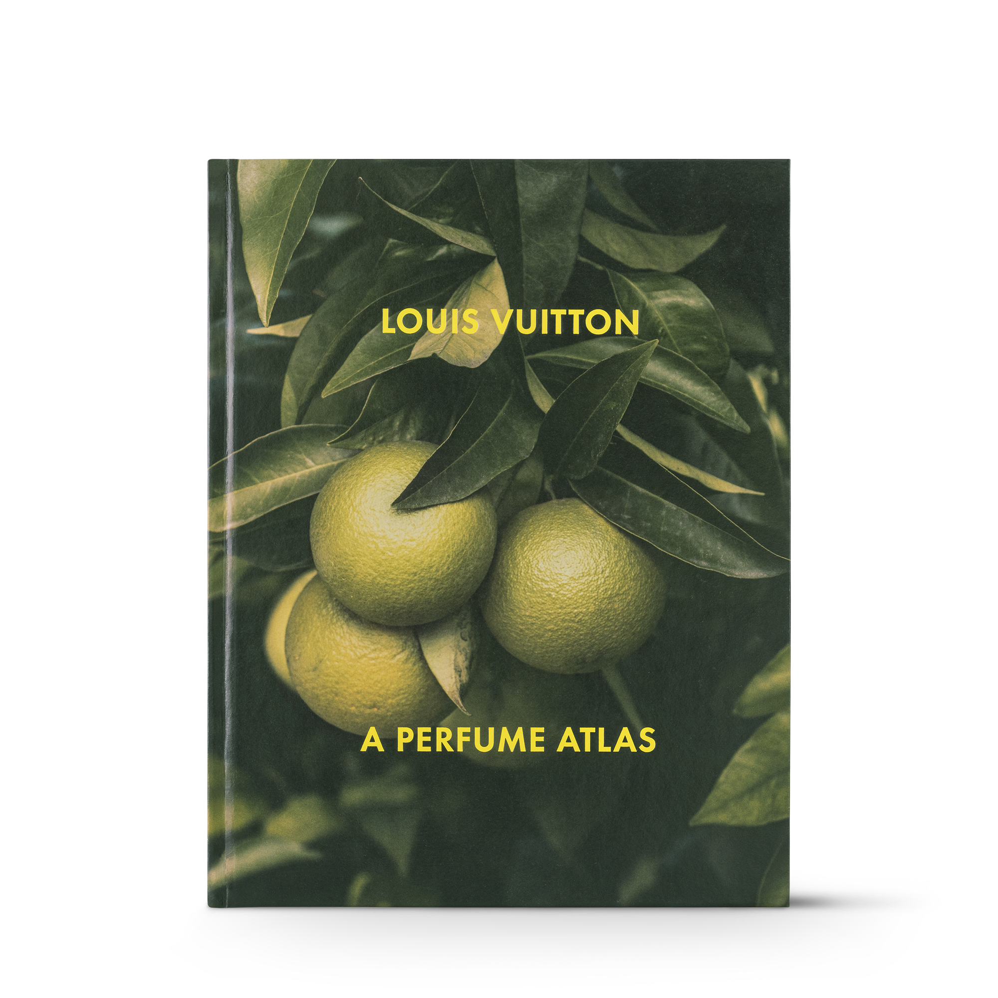 Louis Vuitton: A Perfume Atlas, English Version - Library | LOUIS
